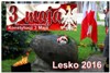 Obchody Majowego Święta Lesko