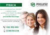 Poglesz Sanok