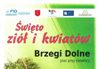 Święto Ziół i Kwiatów Brzegi Dolne