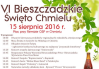 VI Bieszczadzkie Święto Chmielu